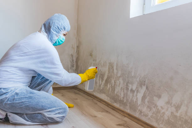 Licensed Crawl Space Mold Removal service in Harrison, MI - WQB Mold Removal