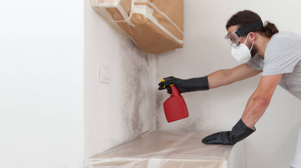 Professional Crawl Space Mold Removal technician working in Harrison, MI