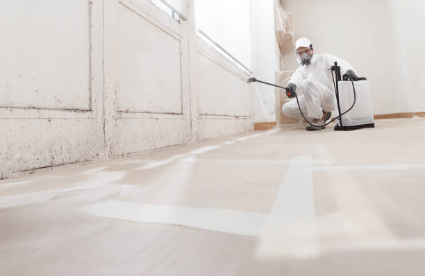 24/7 Emergency Crawl Space Mold Removal experts in Harrison, MI