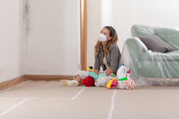 Reliable Crawl Space Mold Removal contractor in Harrison, MI by WQB Mold Removal